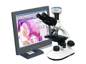 �pĿ�����@΢�RBDM320