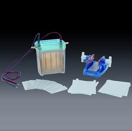 �p��ֱ�Ӿ�x(��)����̖��DYCZ-24F