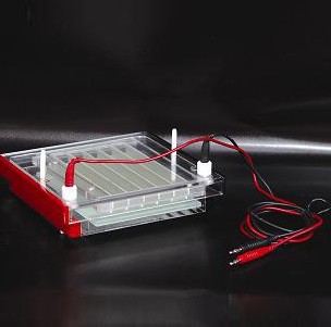 �������z�Ӿ�x(��)DYCP-44P��