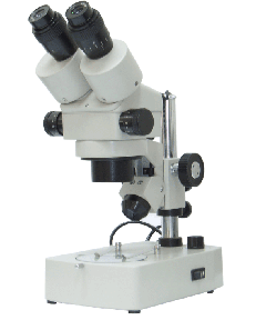 �m(x��)׃���wҕ�@΢�RXTL-2400