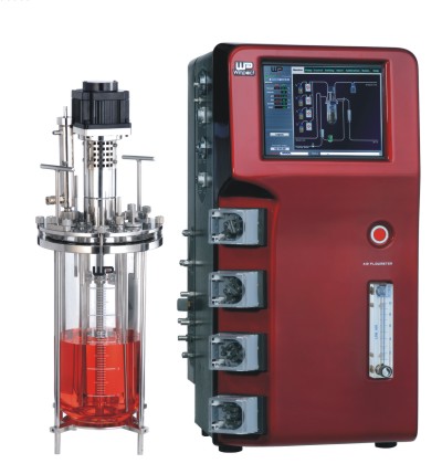 ����(gu��)Winpact-���ϵ�y(t��ng)�l(f��)�͹�