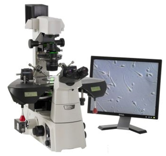 IMSI�ξ���ע��x