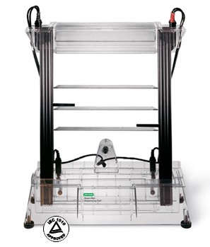 ����Sequi-Gen GT�y(c��)���Ӿ��