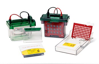 ����Criterion�A���zϵ�y(t��ng)