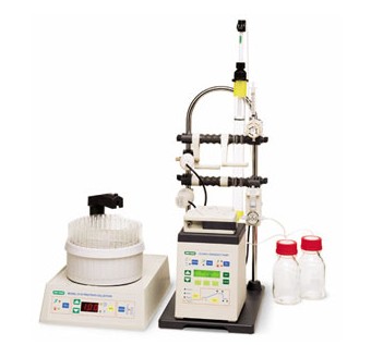 ����(l��)Econo�ݶȽM�ϱ�