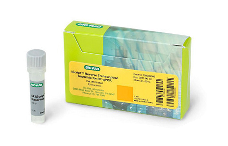 ���� RT-qPCR �� iScript™ ���D(zhu��n)䛳����Һ